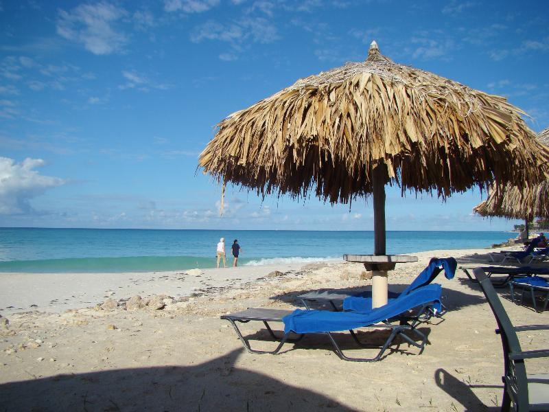 Palmita Hotel Hostel Oranjestad Exteriér fotografie