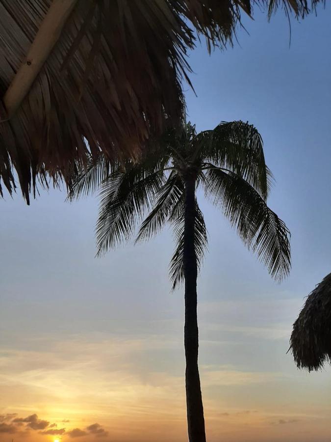 Palmita Hotel Hostel Oranjestad Exteriér fotografie