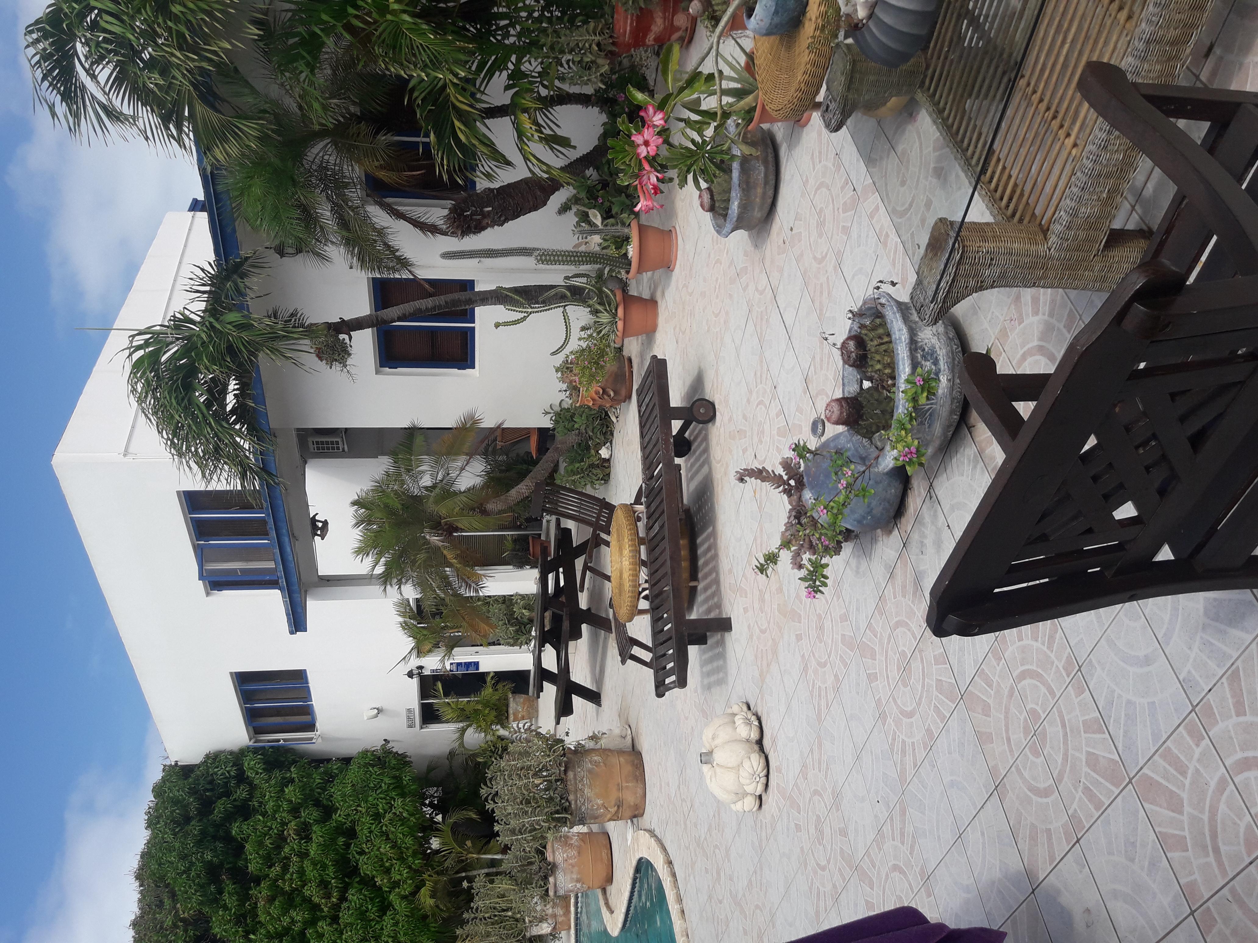 Palmita Hotel Hostel Oranjestad Exteriér fotografie