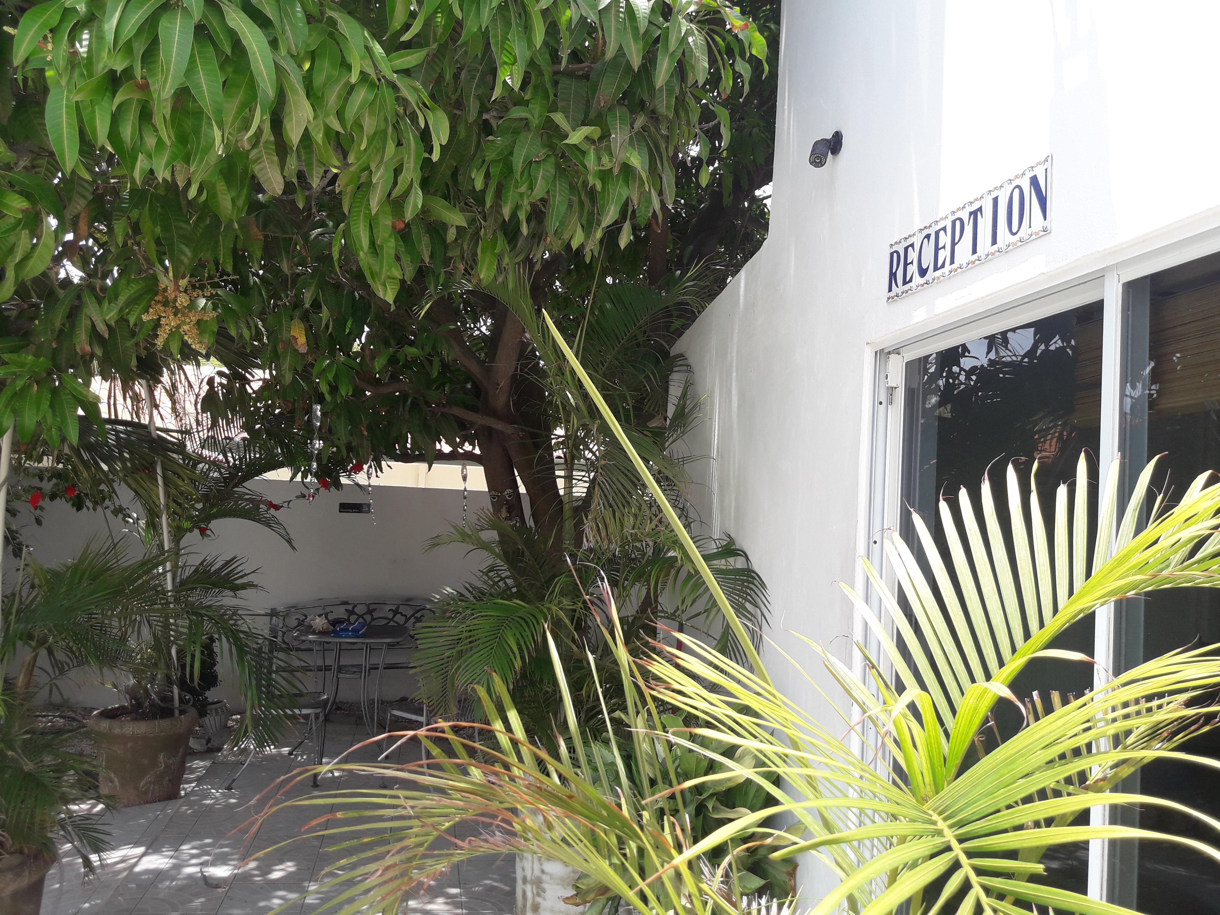 Palmita Hotel Hostel Oranjestad Exteriér fotografie